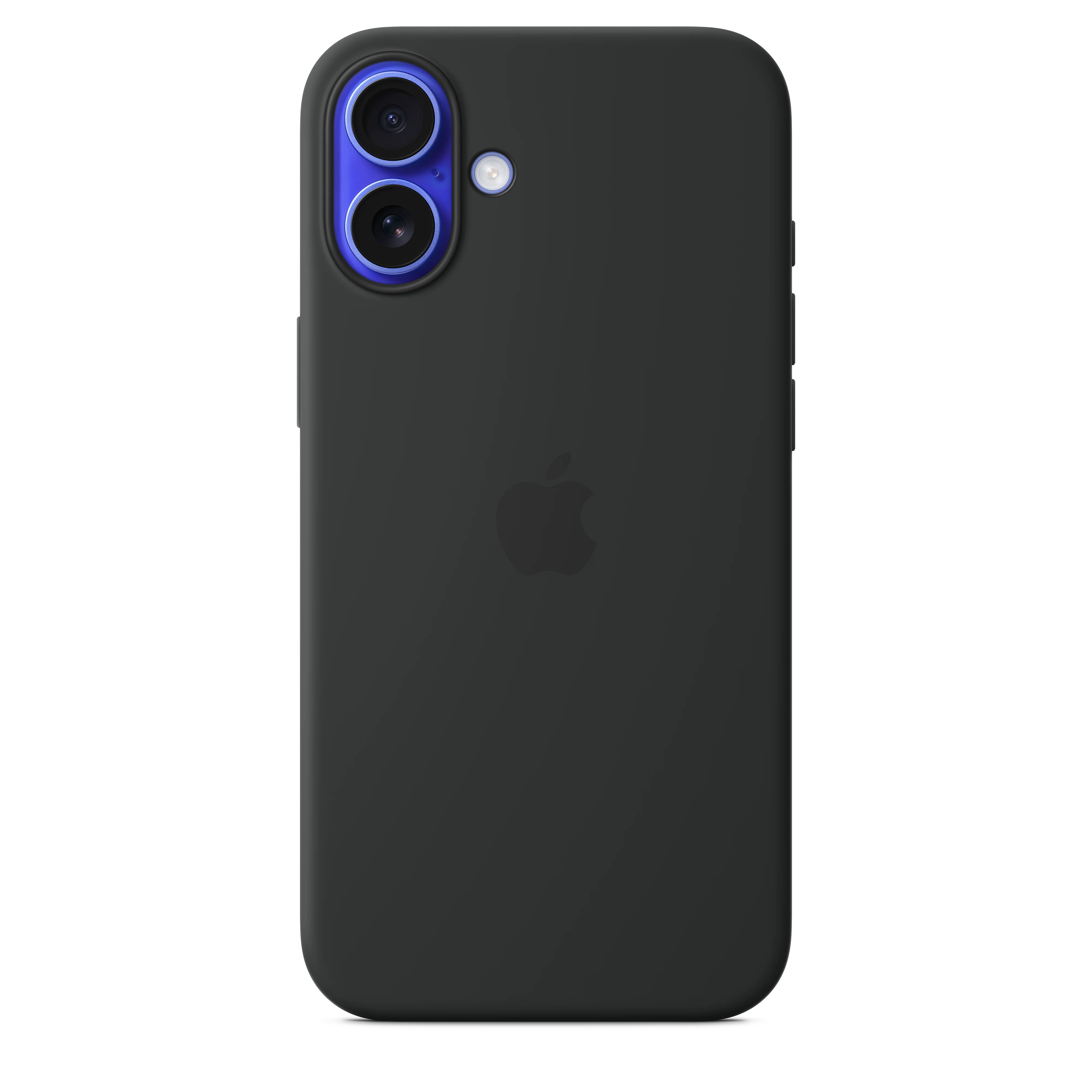 Miniatyr 1