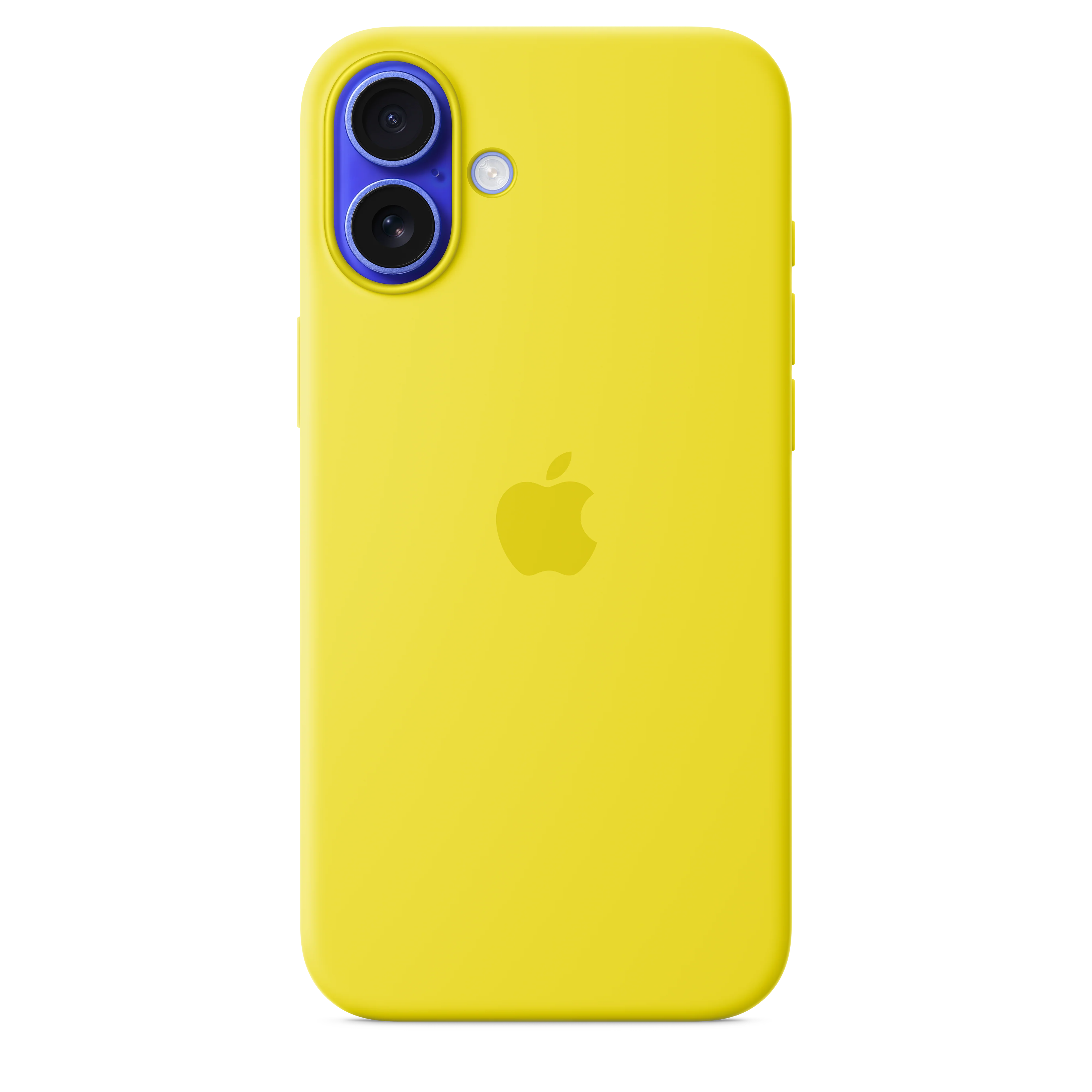 Miniatyr 1