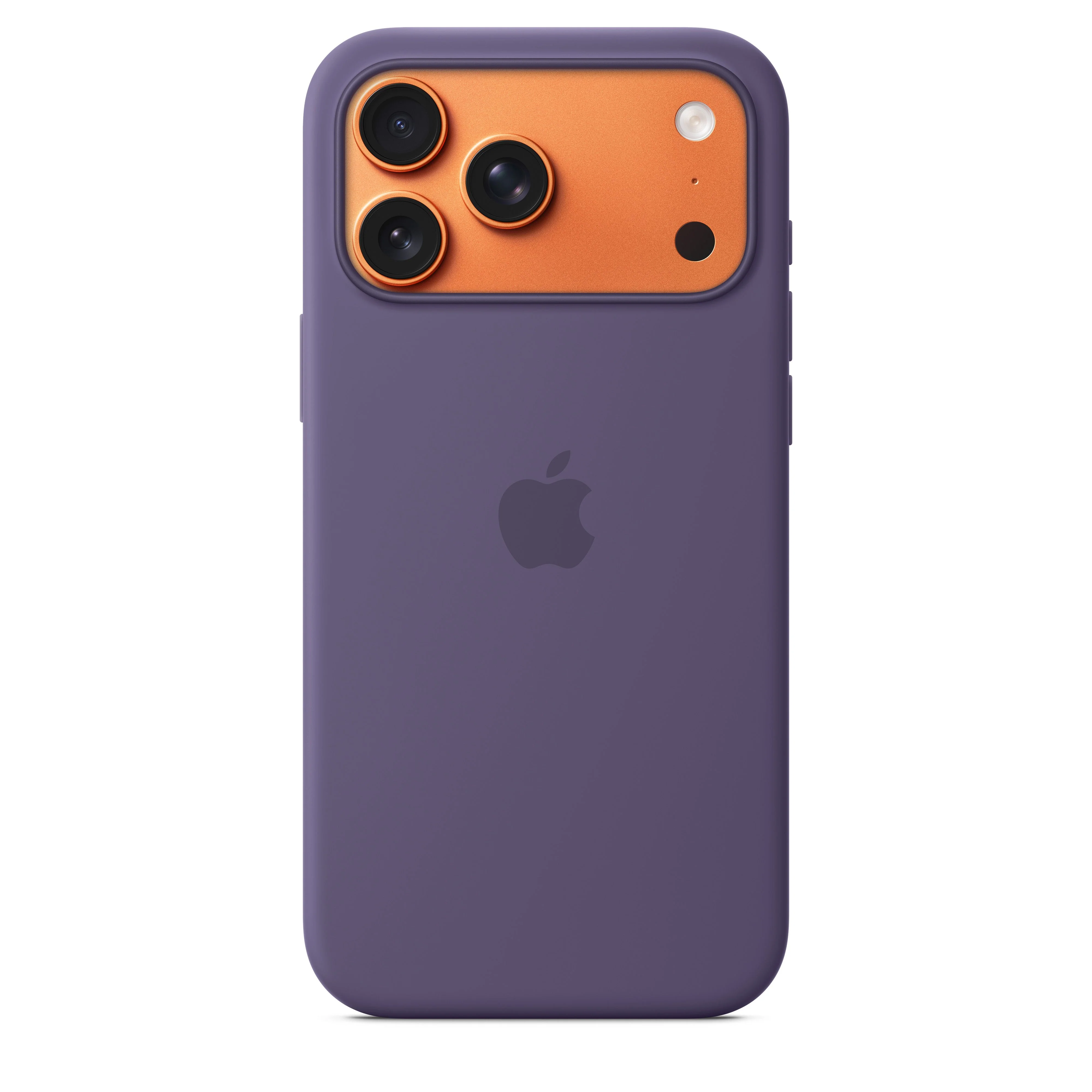 Miniatyr 1